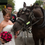 bride-and-horse1